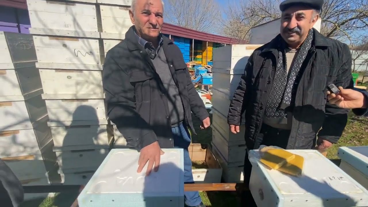 Kek (Kandi) Çiçək tozu ilə.