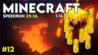 Minecraft 1.14 Speedrun [25:36] by Dimeax 16,266 views 3 years ago 26 minutes