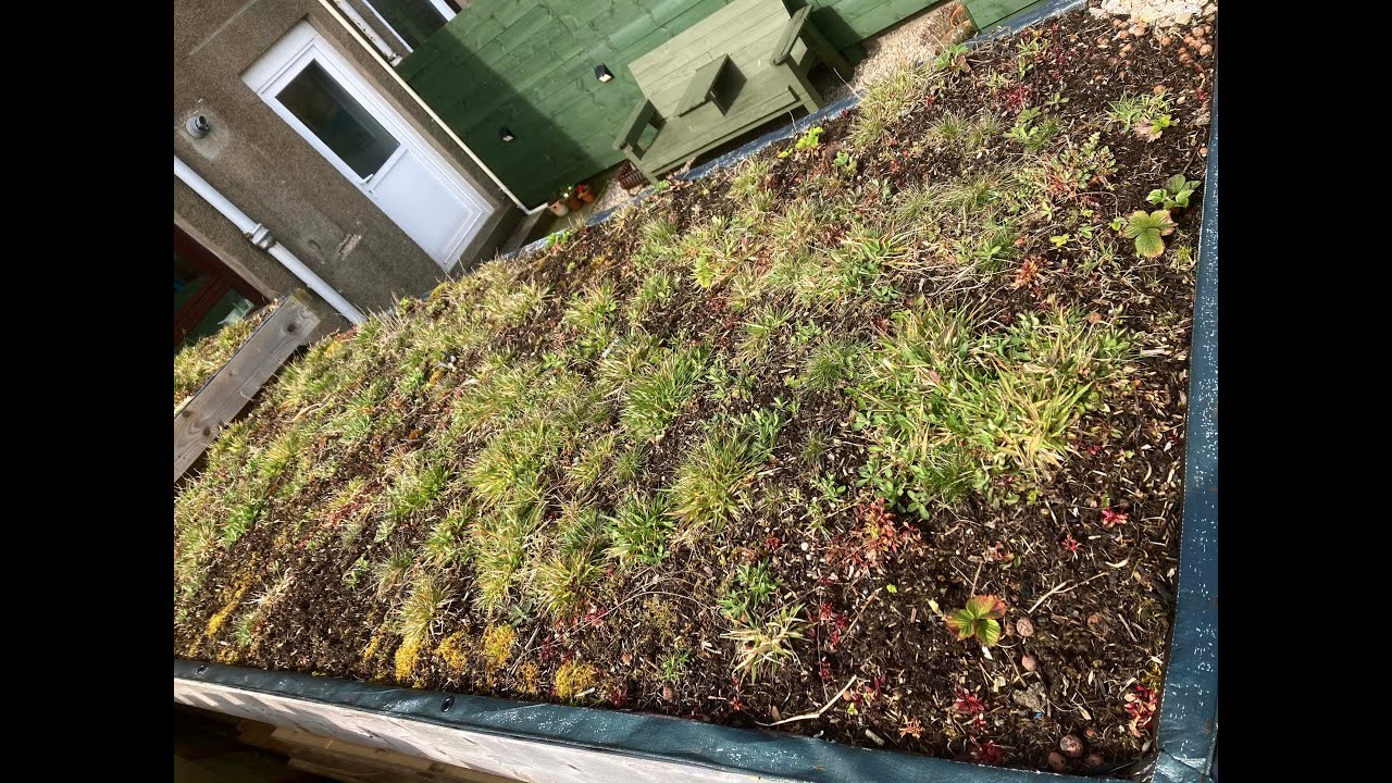 Installing a Green Roof