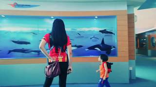 Download Lagu #MyLabuanStory (Labuan Marine Muzeum Trip) MP3
