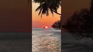 ❤️ Sunset Lovers