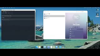 psyxe MCP server for Apple Contacts Net Worth