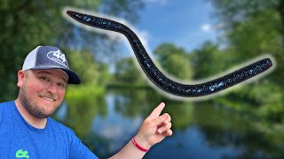 THIS Is My Favorite WORM For BASS Fishing- Here’s Why!!