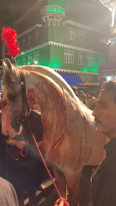 Zuljanah Shab e Ashura 2024 - Kesar Baug 2024 | #muharram 1446 | Mumbai