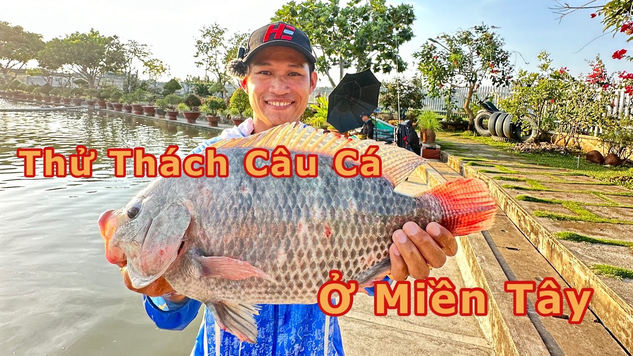 Câu Cá Rô Phi Mới - Câu Cá Hồ Dịch Vụ Khai Trương I Dat Anh Fishing ...