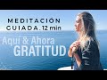 Meditación guiada. 12 min. Aquí y Ahora. GRATITUD