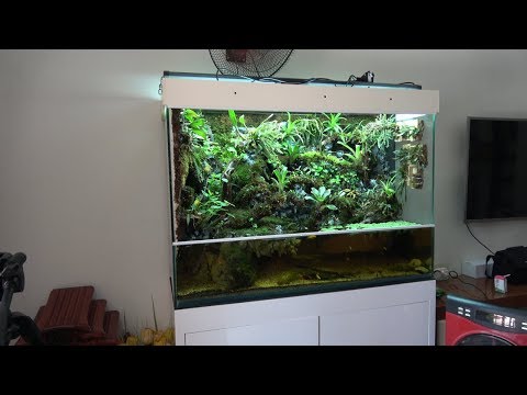 Video Bể thủy sinh bán cạn đẹp nhất Việt Nam - Best... - youtube