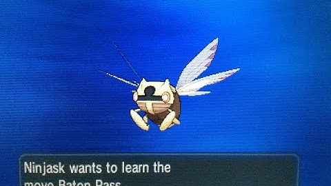 Shiny Evolution #3 - Nincada to Ninjask + Shedinja Information