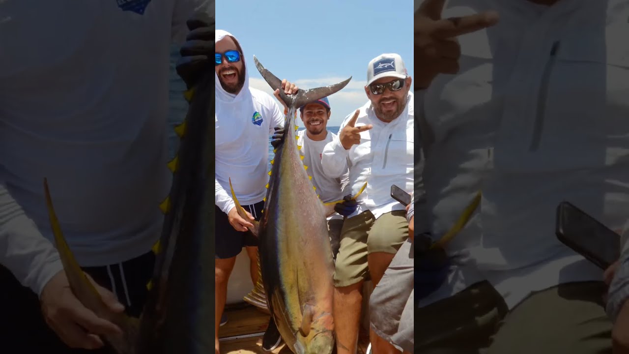 Inside Bisbee’s East Cape Tournament 🏆 Teamwork, Strategy & Big Game Fishing in Cabo