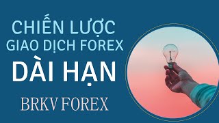 CHIẾN LƯỢC GIAO DỊCH FOREX DÀI HẠN HIỆU QUẢ - BRKV FOREX