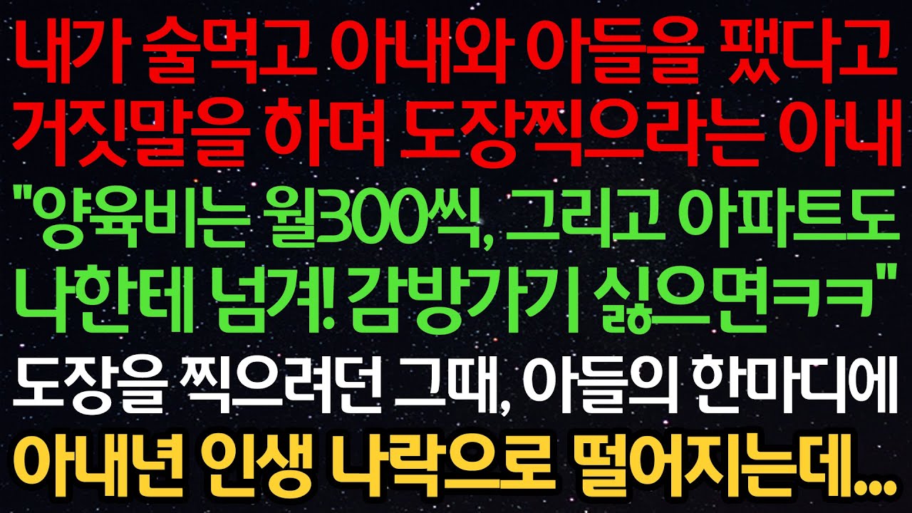 내가 술먹고 아내와 아들을 팼다고 거짓말하며 도장찍으라는 아내 