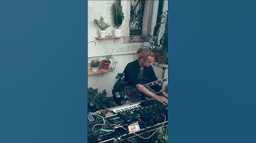 Dawless performance // Habitat, Portugal #shorts #downtempo #elektron #digitakt #octatrack