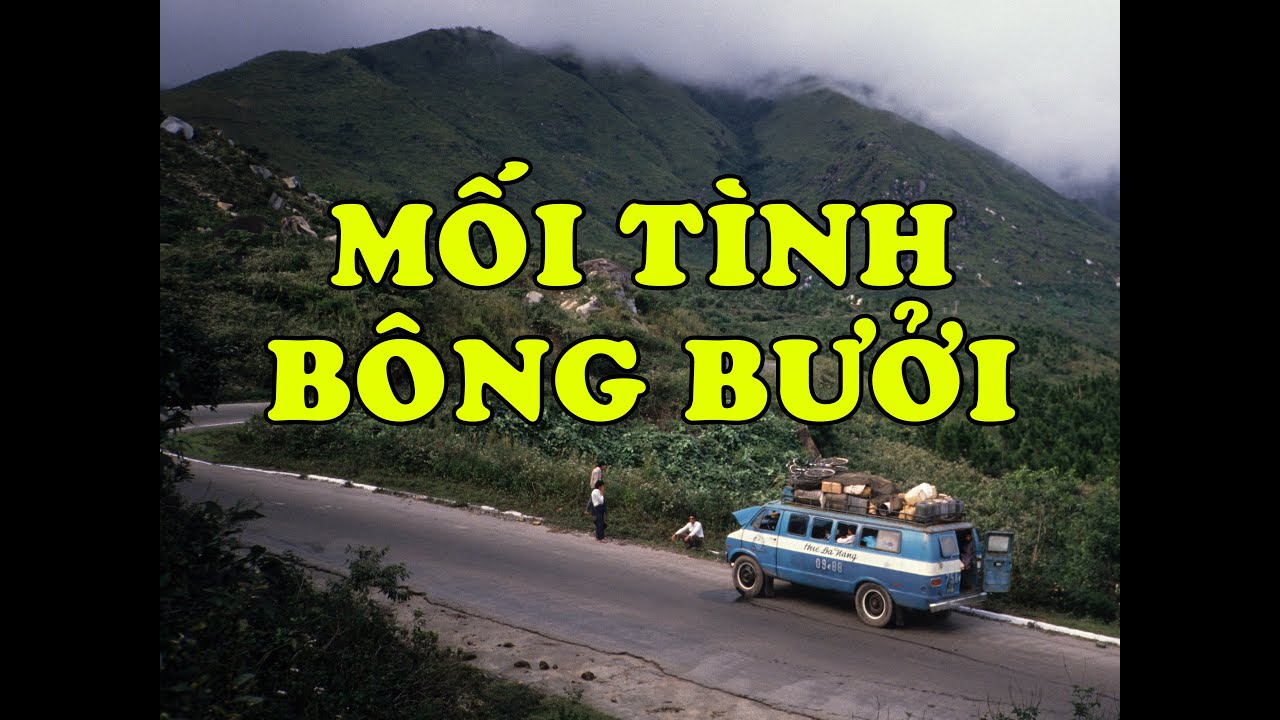 Hồi Ký Miền Nam | Mối Tình Bông Bưởi