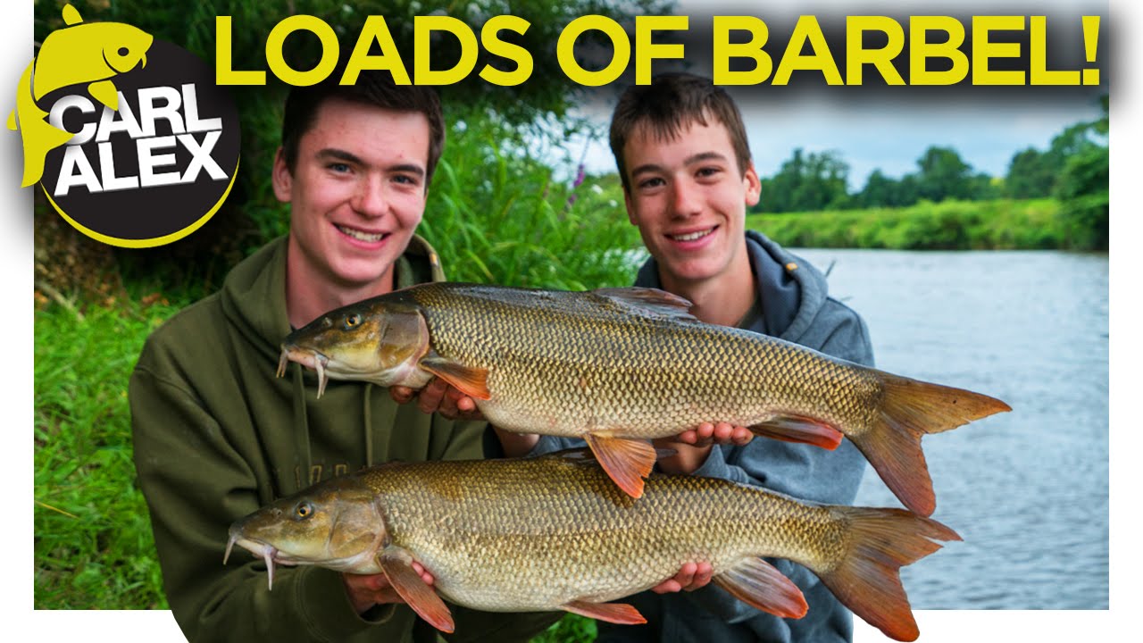 Feeder Fishing For Barbel And Chub On A River Youtube