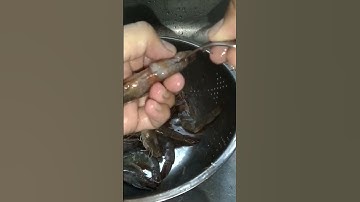 How to devein shrimps#easyfasthack#shorts#geniushack@susanbulusan