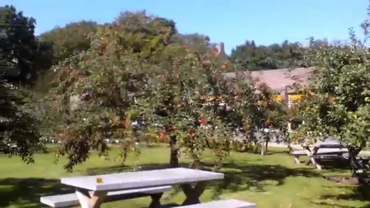 Abdij Egmond-Binnen appelgaart vd monniken