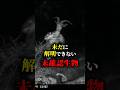 未だに解明できない未確認生物 #都市伝説 #怖い話 #雑学 #shorts #未確認生物 #uma
