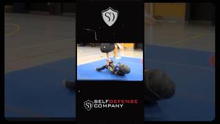 Seminar 2012 Predator Armor 2