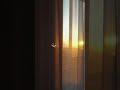 سورة المعارج القارئ اسلام صبحي اسلام صبحي 