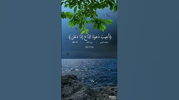 القران الكريم نور وهدايه  #ريلز #اكسبلور