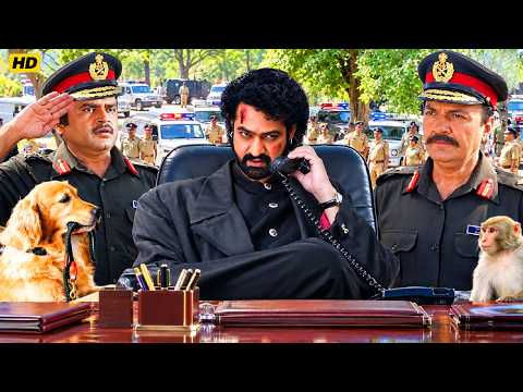 जूनियर एनटीआर की धमाकेदार एक्शन मूवी | Genelia D'Souza, Prakash Raj | Jr. Ntr South New Action Movie