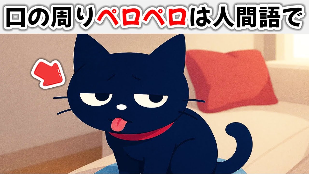 【猫の雑学】猫の奇妙な行動を人間語にすると #雑学 #豆知識  #トリビア