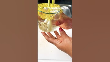 Easy to Regrow Spring Onions in home | #trendingshorts #easy #regrowing #spring #onion #inhome #food