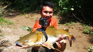 ปลายักษ์ ติดด้วยโกโปร \ Giant fish attached to a GoPro.My Mesuan