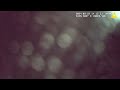 Raw Bodycam Officer No. 4 - St. Cloud Police - Manuel Martinez Incident