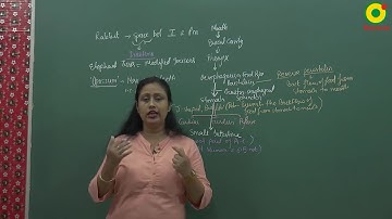 Class 10 Science | Life processes - 05B by AN mam @ Nucleon IIT JEE NEET Kota