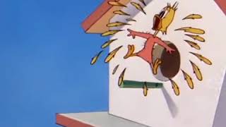 Tom And Jerry Worldtom And Jerry, 63 Episode - The Flying Cattom And Jerry Pirates Of The Carabi