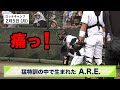 【今週のA.R.E.】②「猛特訓の中で生まれたA.R.E.」~千葉ロッテ~