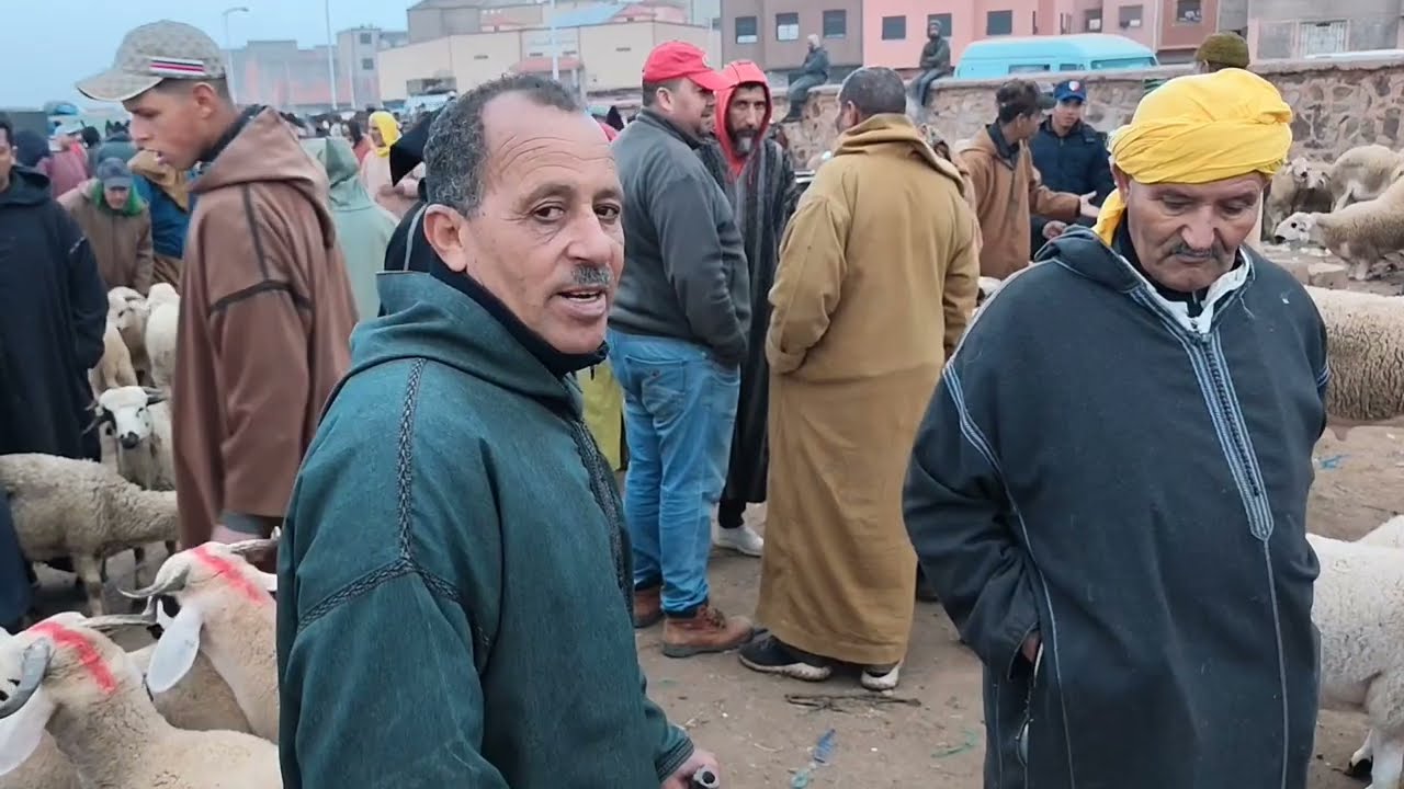 مباشرة من قلب سوق الاتنين قلعة السراغنة بتاريخ2/3/2026,🇲🇦🤲💸