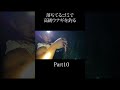 落ちてるゴミで高級ウナギを釣る Part10 #サバイバルキング
