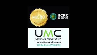 Attic Mold Removal Ontario- Before/After - UMC