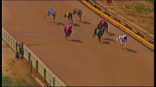 SHP THU 16 JAN 20 R3