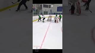 swimming - Hey Stripes! The Micd Up GoPro Hockey Refcam