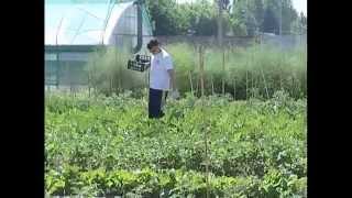 Terra Oggi: puntata 2 luglio 2013 su Agricoltura Sociale Mantova