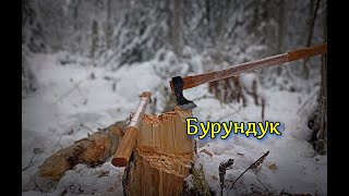 Бурундук на проверке