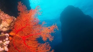 Diving on Green Island, Taiwan (April 2013)