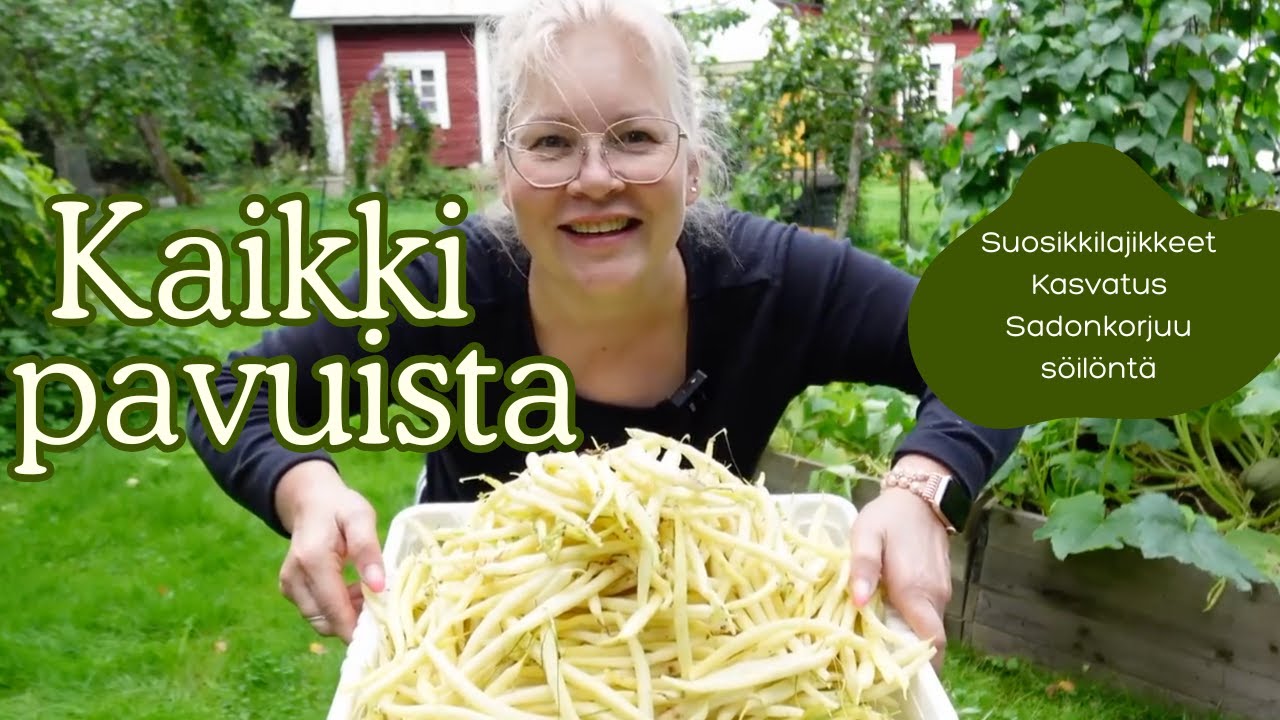 Kaikki pavuista! I Pensaspavut, vinkit ja säilöntä