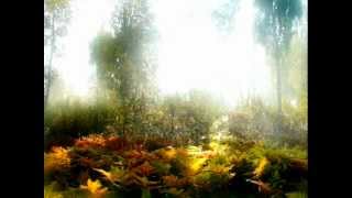 Трофим. За тихой рекою.  Kalina Folk