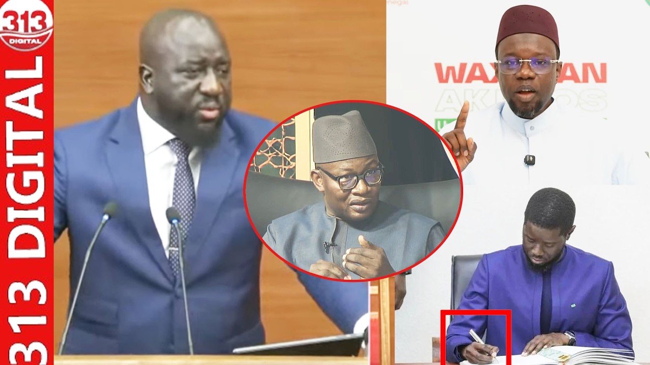 «Tok ci télé du diffamé…» Le ministre Alioune Sall annonce une mauvaise nouvelle pour Moussa Diop et