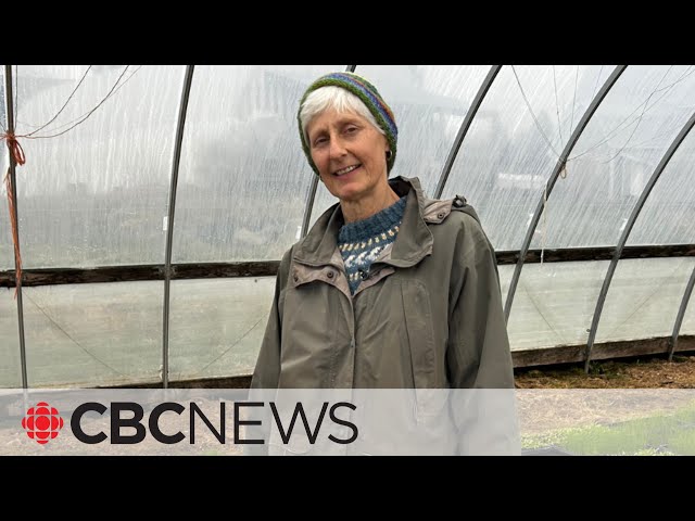 Loblaws boycott? These N.B. farmers say food price problems are deeper than that