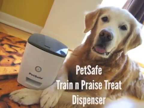 Train'N'Treat Dog Treat Dispenser