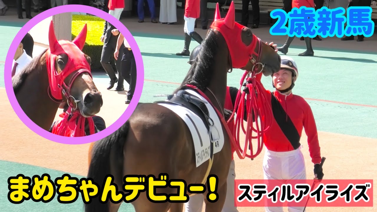 あんなに小さかったまめちゃんことスティルアイライズちゃんが立派になってデビュー！🥺
