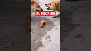 Jangan Di Skip Endinya Bikin Ngakakk 