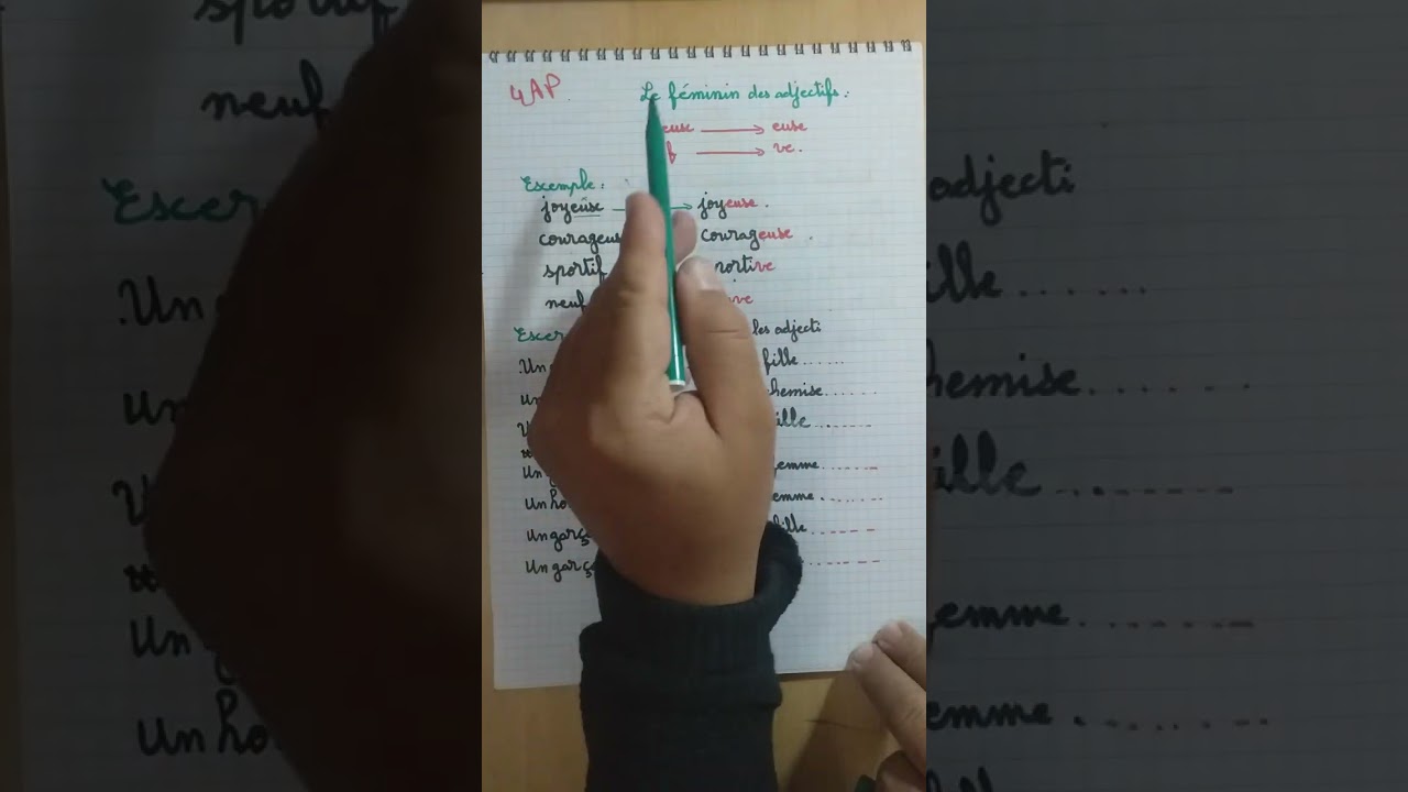 le feminindes adjectifs en eux /f 4ap