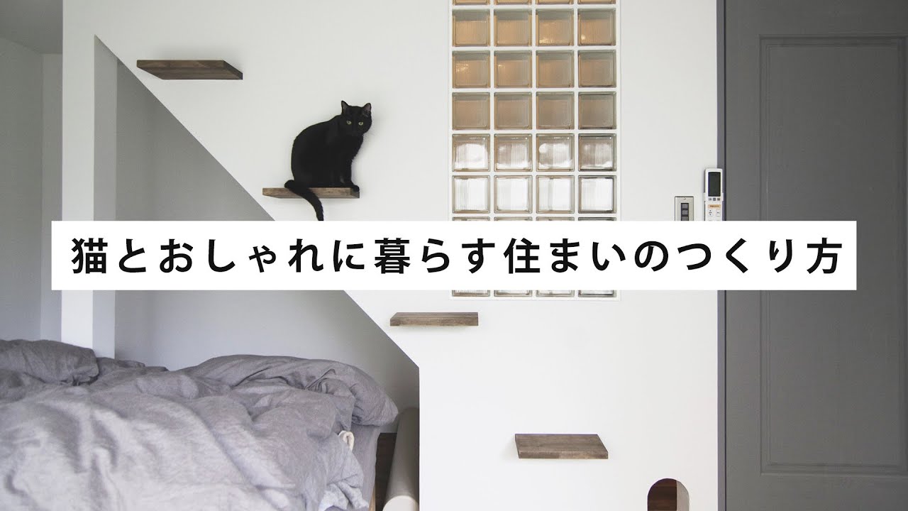 猫とおしゃれに暮らす住まいの作り方 インテリアのアイデア集 Youtube