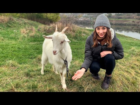 Video: Sådan Mister Du Indvendigt Lårfedt: Øvelser, Tip Og Mere